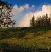 IMG_1146_51