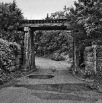 mckinbridge2
