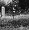 smithcem3small