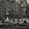 dallascemetary02